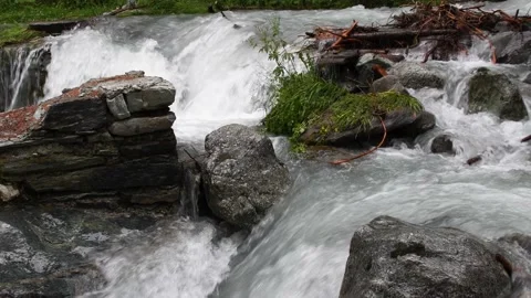 Mountain river flowing through the green forest. Swiss Alps, crystal clear Vídeo Stock 197413293