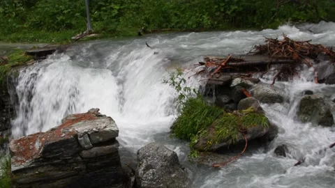 Mountain river flowing through the green forest. Swiss Alps, crystal clear Stock Footage 197413358