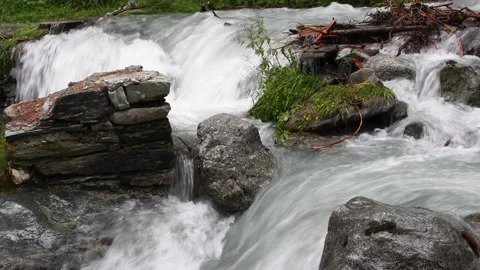 Mountain river flowing through the green forest. Swiss Alps, crystal clear Stock Footage 197413481