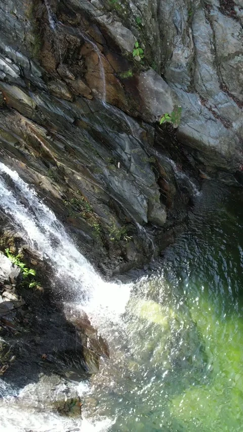 Mountain river flowing through the green forest Видео 233258251