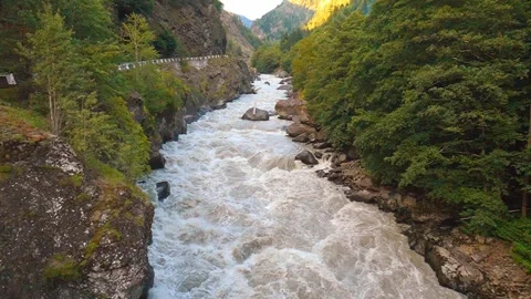 Mountain river flowing through green forest Video stock 288496763