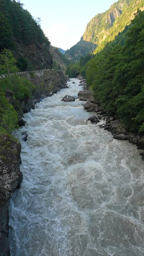Mountain river flowing through green forest Vidéo 288496797