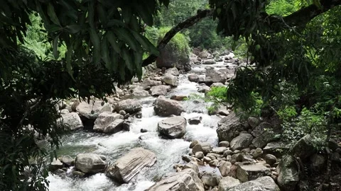 Mountain river flowing through a green forest Stock Footage 337767331