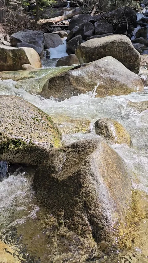 Mountain River Flowing Through Large Rocks in Forest Vertical Nature Video Stock Footage 333716298