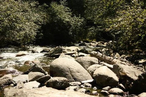 Mountain river flowing through large grey boulders and forest trees Stock Photos