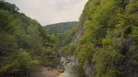 Mountain river flowing through lush green canyon in Hokkaido, Japan Stock Footage 340920828