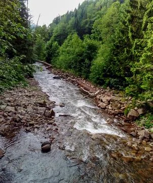 Mountain river flowing through lush forest Stock Photos