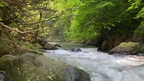 Mountain river flowing through a narrow rocky gorge in Mtirala Park Stock Footage 338004647