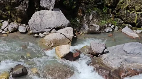 Mountain River Flowing Through Rocks and Greenery in Summer Stock Footage 331065691