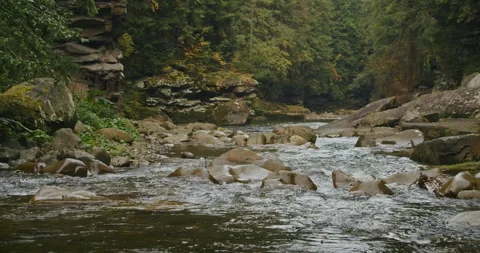 Mountain river flowing through rocky landscape with autumn foliage. Nature and Vídeos de archivo 266950406