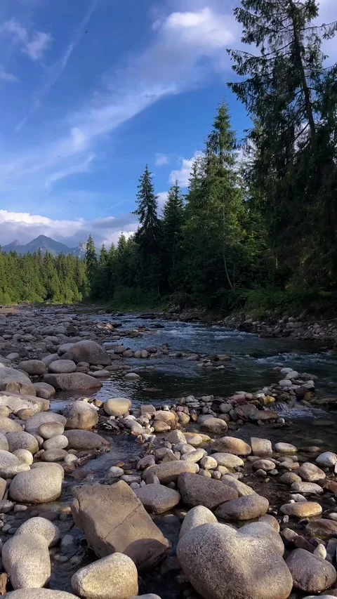 Mountain River Flowing Through Rocky Landscape Stock Footage 289144576