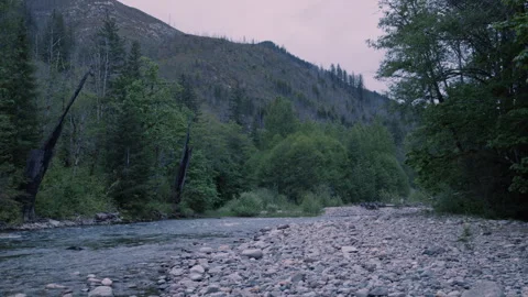 Mountain River Flowing Through Rocky Terrain Stock Footage 310060525