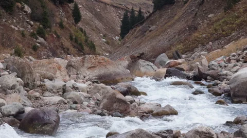 Mountain river flowing through a rocky gorge Stock Footage 318360011