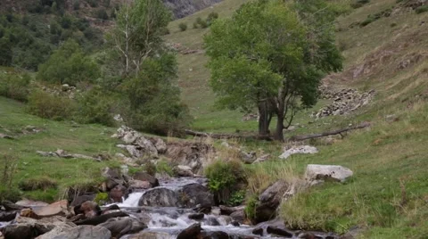 Mountain river flowing through a small valley. Stock Footage 62955750