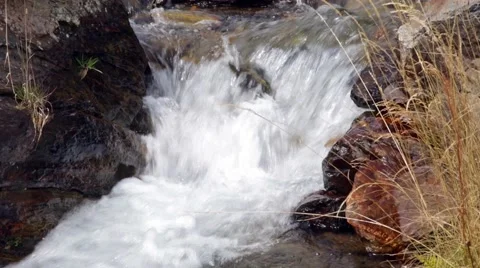Mountain river flowing through a small valley. Stock Footage 62955753