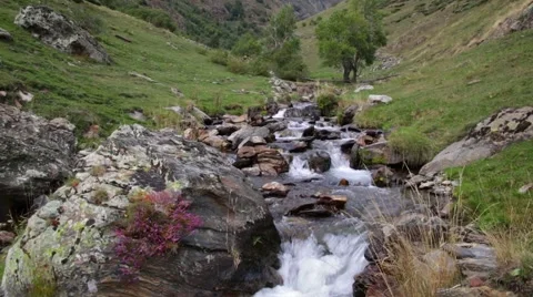 Mountain river flowing through a small valley. 스톡 동영상 62957840