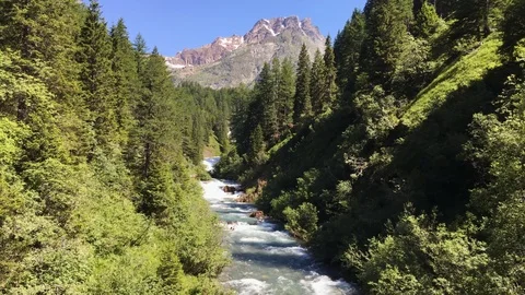 Mountain river flowing thru the woods Stock Footage 112221599