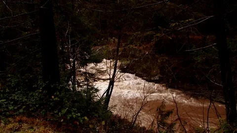 Mountain river flowing Trees Stock Footage 70926038