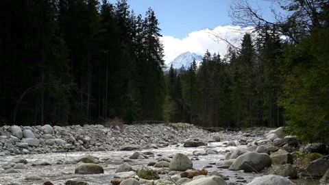 Mountain river flowing under the mountain peaks, large boulders in the river Stock Footage 242344333