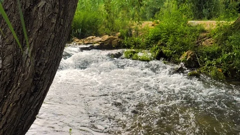 Mountain river with flowing water and green banks in slow motion Stock Footage 124389983