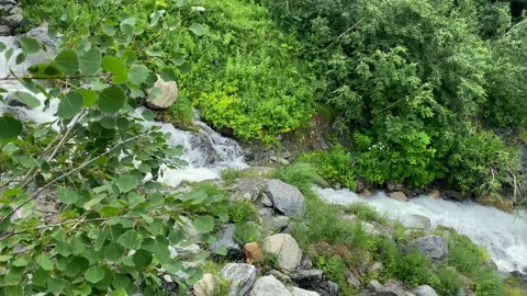 Mountain river flowing wide view below Shdugra Waterfalls in Svaneti Stock Footage 343768280