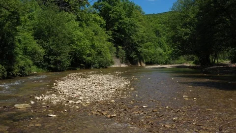 A mountain river flows along the banks where tall trees grow. Stock Footage 123110232