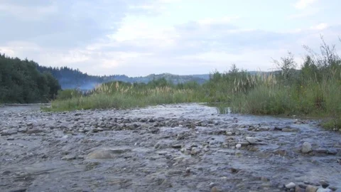 A mountain river flows along the forest and a lovely wooden house Stock Footage 79728666