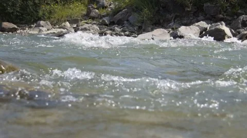 A mountain river flows along the forest Stock Footage 79746467