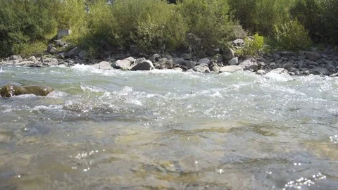 A mountain river flows along the forest Stock Footage 79746594