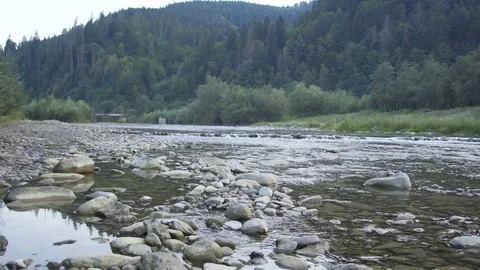 A mountain river flows along the forest Stock Footage 79752493
