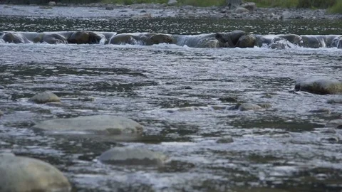 A mountain river flows along the forest Stock Footage 79753050