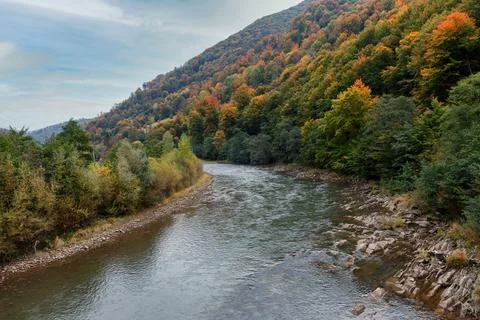 Mountain river flows along the mountains covered with autumn forest Stock Photos