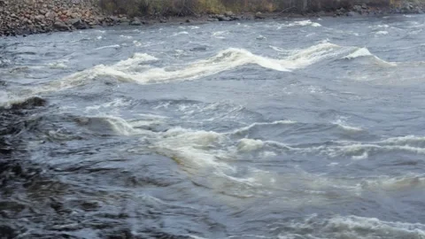 The mountain river flows along the rapids. Autumn with orange leaves. Stock Footage 164592679
