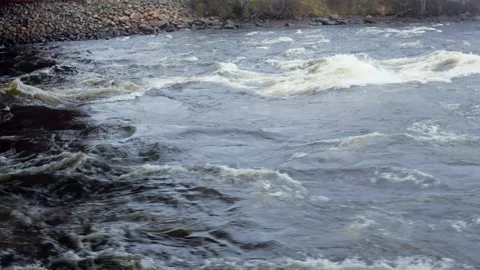 The mountain river flows along the rapids. Autumn with orange leaves. Stock Footage 164592833