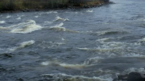 The mountain river flows along the rapids. Autumn with orange leaves. Stock Footage 164592915