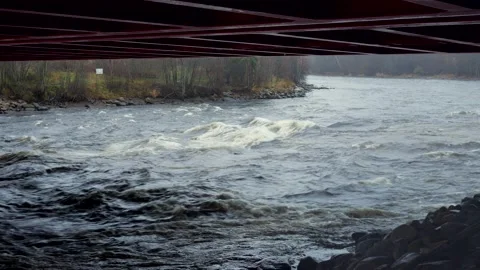 The mountain river flows along the rapids. Autumn with orange leaves. Stock Footage 164593850