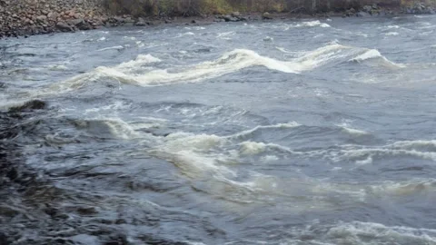 The mountain river flows along the rapids. Autumn with orange leaves. Stock Footage 164593884
