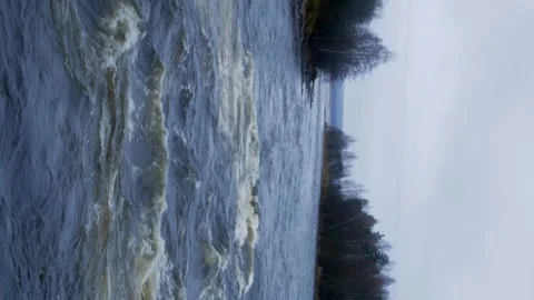 The mountain river flows along the rapids. Autumn with orange leaves. Stock Footage 164594029