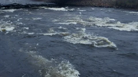 The mountain river flows along the rapids. Autumn with orange leaves. Stock Footage 164594063