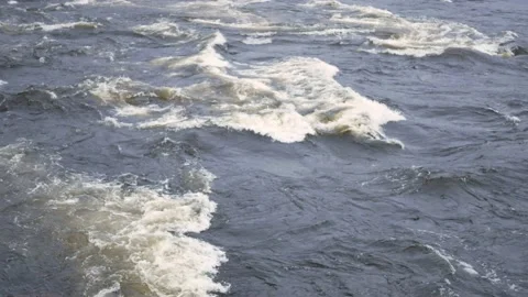 The mountain river flows along the rapids. Autumn with orange leaves. Stock Footage 164594156