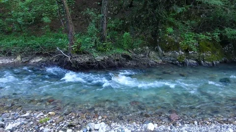 Mountain river flows along rocky bottom against forest Stock Footage 101619201