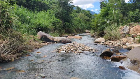 A mountain river flows amidst lush Asian vegetation. Stock Footage 319828528
