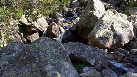 Mountain river flows among huge stones in a pine forest Video stock 115081334