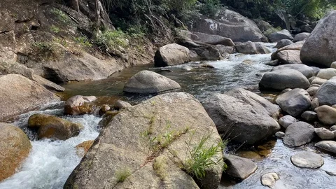 Mountain river flows among large stones hrough the forest. Natural landscape Stock Footage 127333559