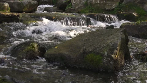 The mountain river flows among large stones covered with moss. Boiling water. Stock Footage 141097670