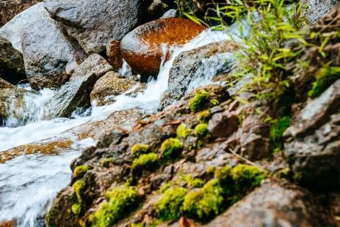 Mountain river flows among large stones hrough the forest. Natural landscape Stock Photos
