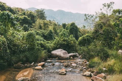 Mountain river flows among large stones in mountainous areas, nature Stock Photos
