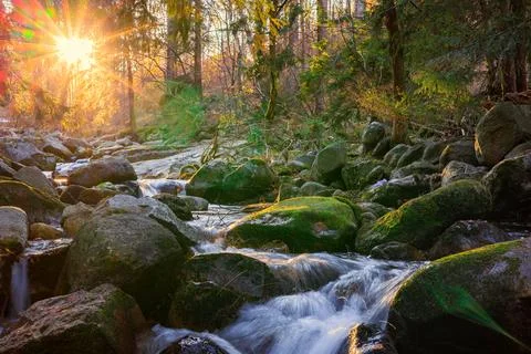 A mountain river flows among large stones, the setting sun into the camera. Stock Photos