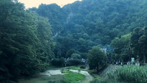 The mountain river flows among the mountains overgrown with trees Stock Footage 126318466