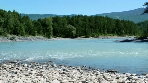 Mountain river flows among the pebble banks. Beautiful landscape. Katun, Altai Stock-Footage 164194570
